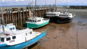 PICTURES/New Brunswick - Village of Alma/t_4Boats - Low.JPG